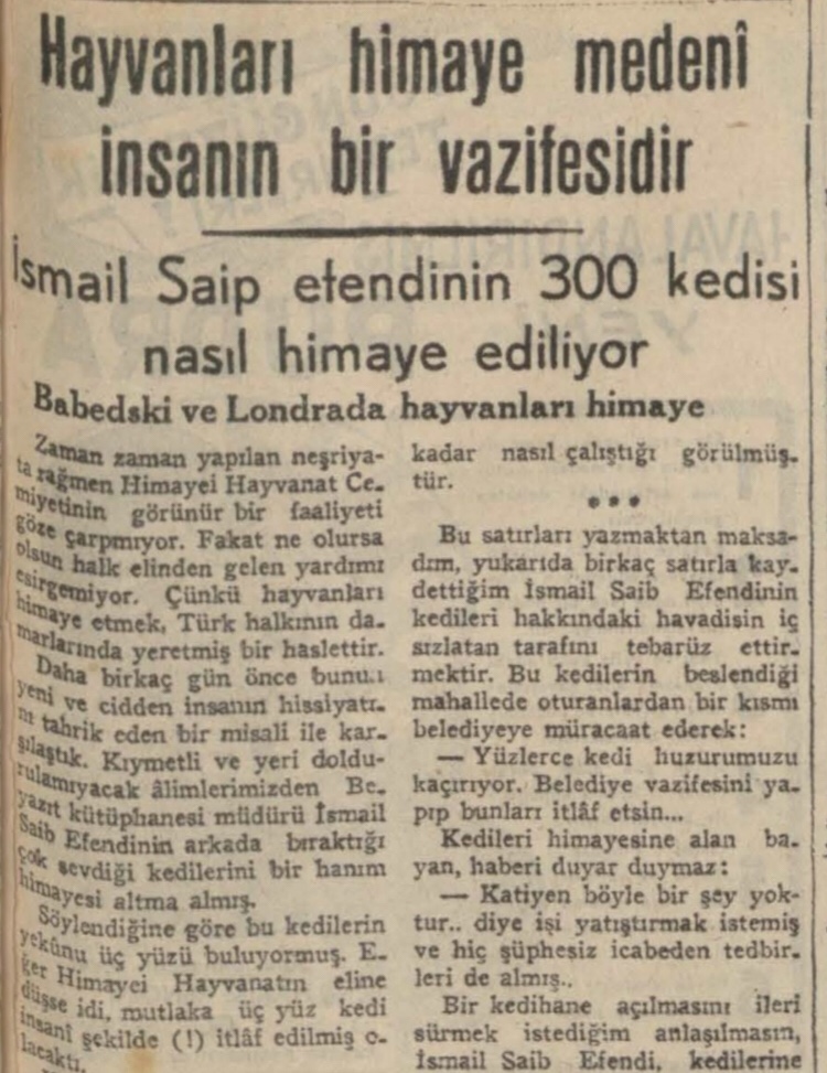 Beyazıt Kütüphanesi Müdürü İsmail Saib'in ölümü ardından 300 kedisinin akıbeti