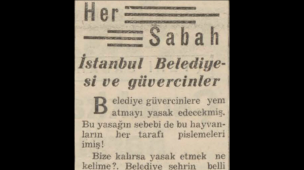 A. C. Saraçoğlu’nun “İstanbul Belediyesi ve güvercinler” başlıklı yazısı