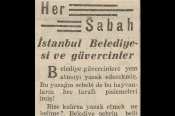A. C. Saraçoğlu’nun “İstanbul Belediyesi ve güvercinler” başlıklı yazısı