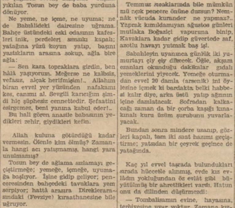 Sermet Muhtar'ın "Tosun beyin başına gelen" başlıklı yazısı