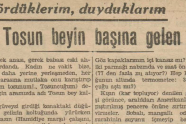 Sermet Muhtar’ın “Tosun beyin başına gelen” başlıklı yazısı